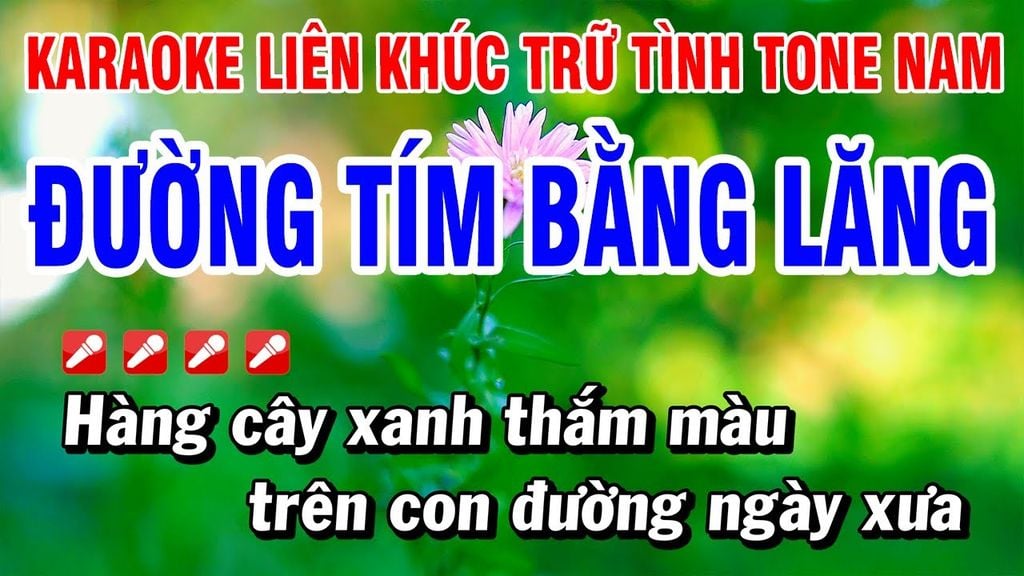 tuyen-tap-cac-bai-hat-karaoke-bolero-dinh-dam-nhat