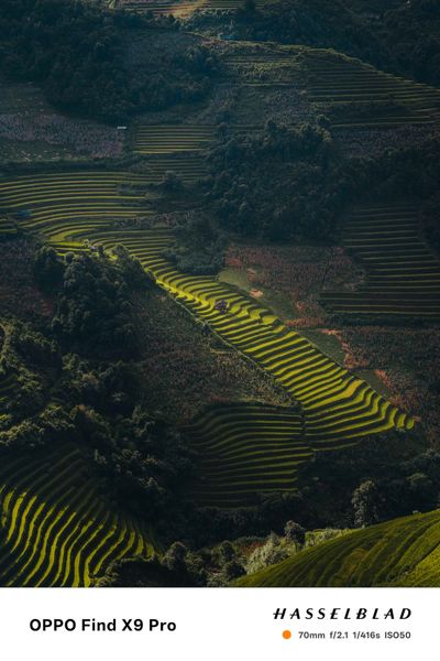 Lát Cắt Vùng Cao