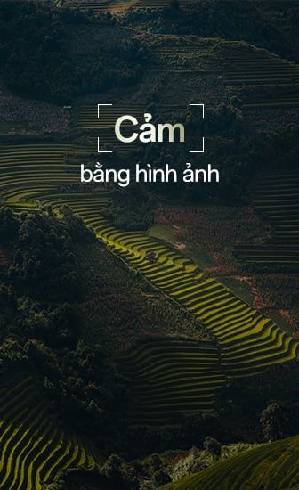 Ảnh giải thưởng