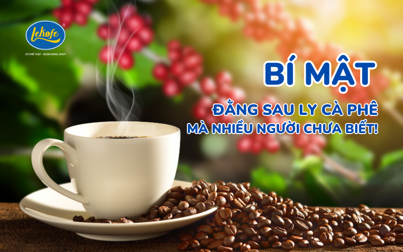 Uống Cà Phê - Bí Mật Đằng Sau Thức Uống Kết Nối Con Người