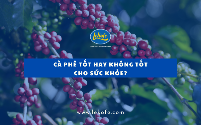 Cà Phê Tốt Hay Không Tốt Cho Sức Khỏe? Sự Thật Khi Uống Hàng Ngày