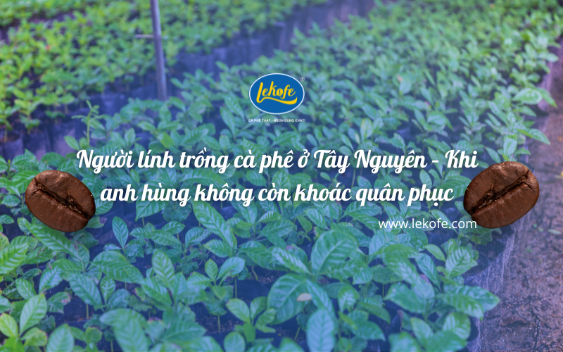 Người lính trồng cà phê – Khi anh hùng không còn khoác quân phục