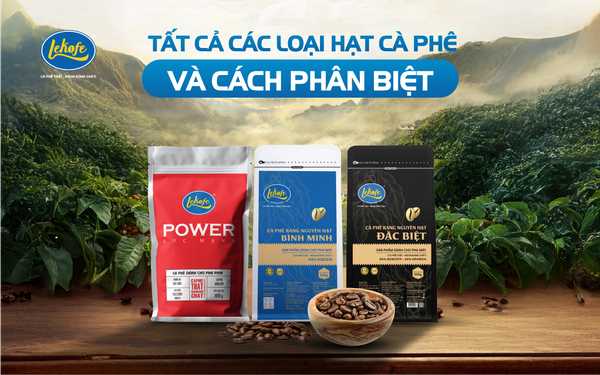 Hạt cà phê là gì? Các loại hạt cà phê phổ biến và cách chọn mua ngon nhất