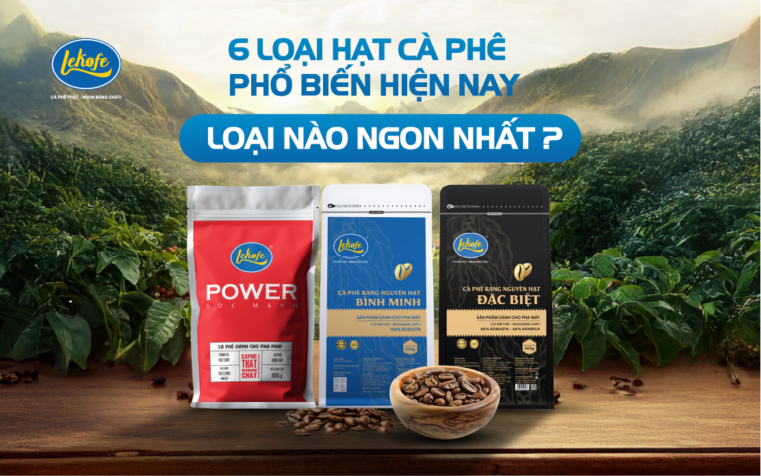 6 loại hạt cà phê phổ biến hiện nay, loại nào ngon nhất?