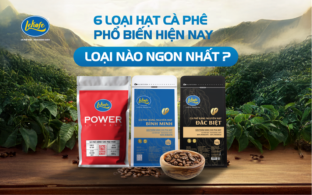 6 loại hạt cà phê phổ biến hiện nay, loại nào ngon nhất?