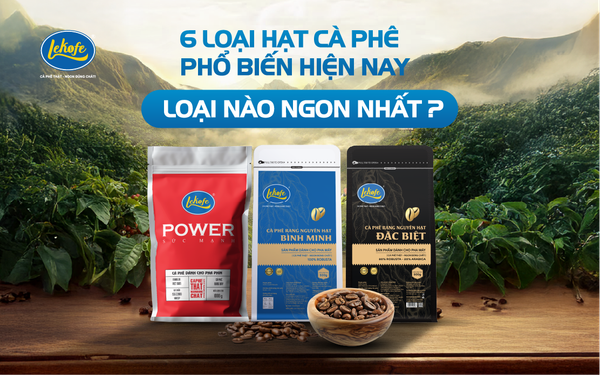 6 loại hạt cà phê phổ biến hiện nay, loại nào ngon nhất?