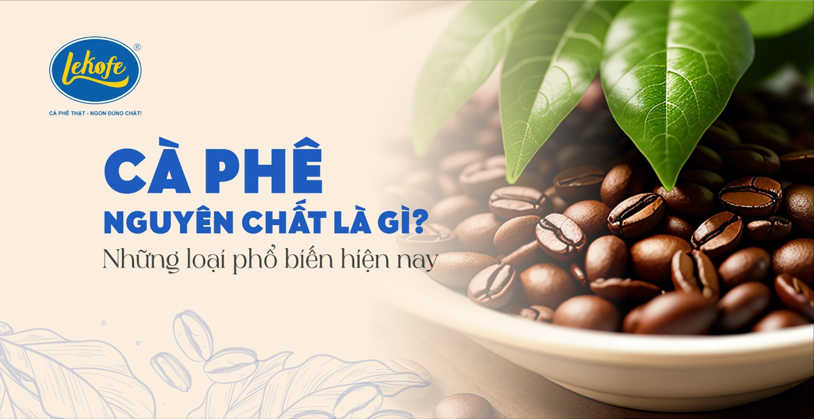 Cà phê nguyên chất là gì ? Những loại phổ biến hiện nay