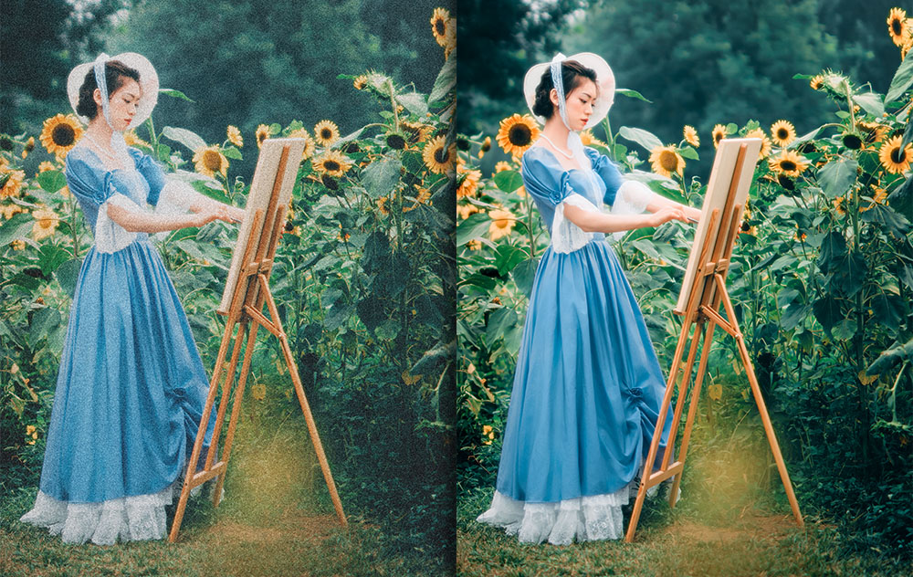 Noise trong chụp ảnh là gì?