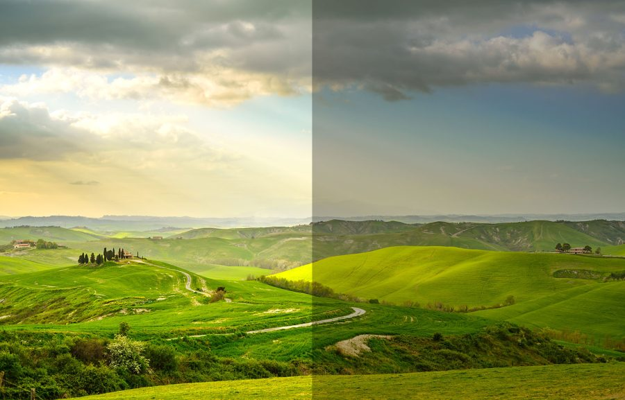 Bức ảnh có độ phong phú về tone màu và chi tiết