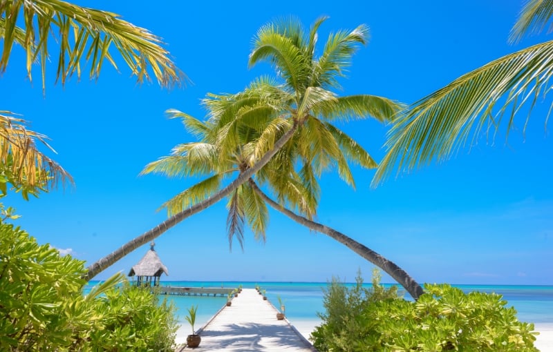 Sử dụng Frame trong nhiếp ảnh một cách tự nhiên