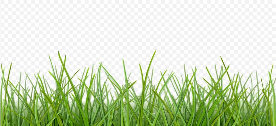 Top 8 công cụ xóa phông nền video cực tốt