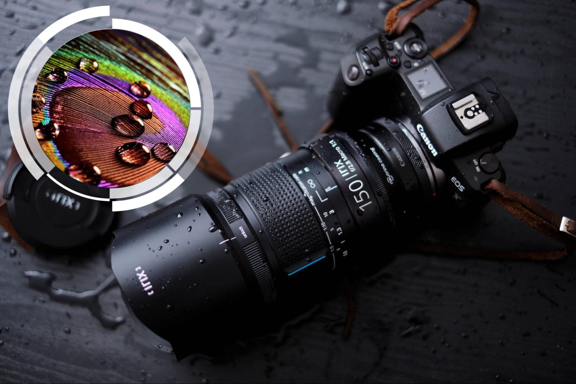 Lens Macro là những ống kính chuyên dụng cho chụp cận cảnh Lens Macro là những ống kính chuyên dụng cho chụp cận cảnh
