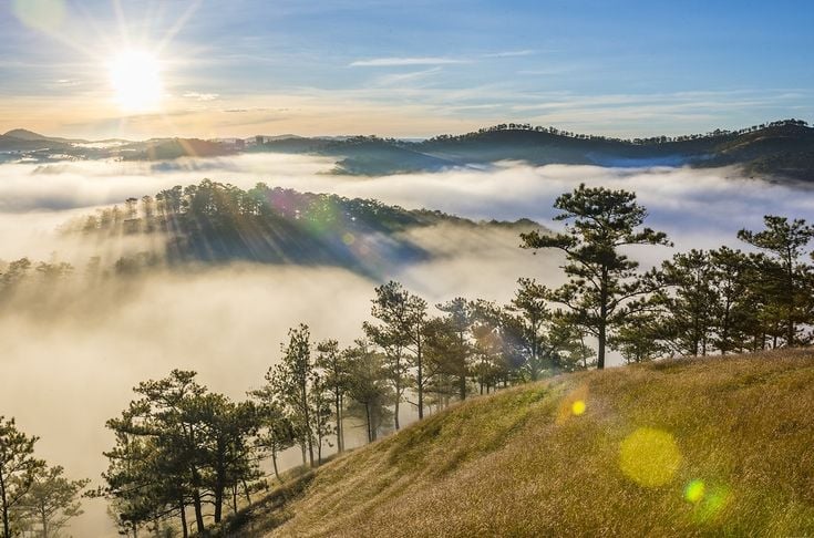 Cách tạo một bức ảnh đẹp tránh nhiễu ảnh