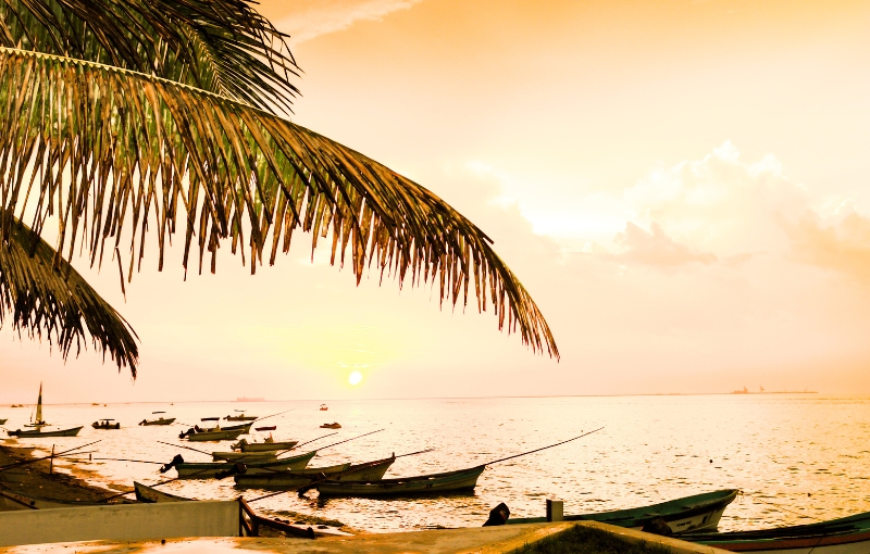 Ảnh dư sáng (Overexposure)