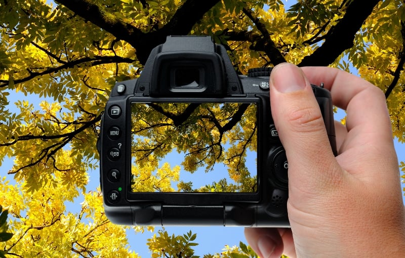 Các yếu tố chi phối màu sắc trong nhiếp ảnh