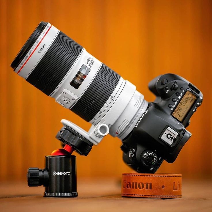 Lens Tele có tiêu cự dài giúp bạn chụp được những bức ảnh từ xa Lens Tele có tiêu cự dài giúp bạn chụp được những bức ảnh từ xa