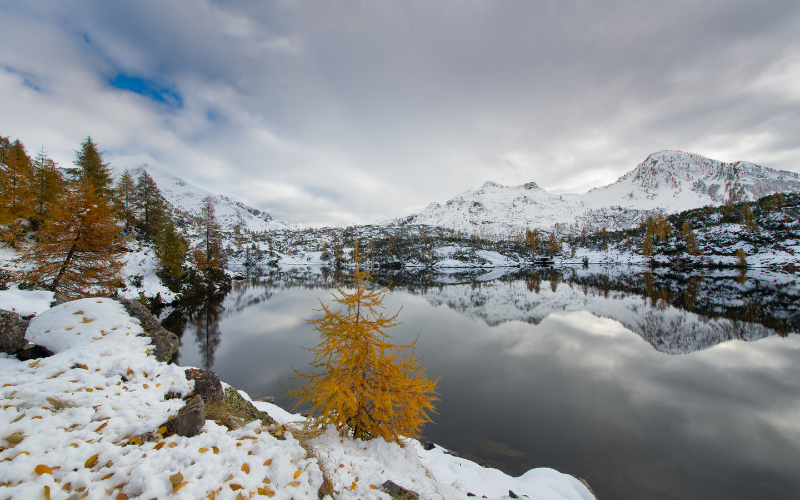 Sự tương phản về kết cấu