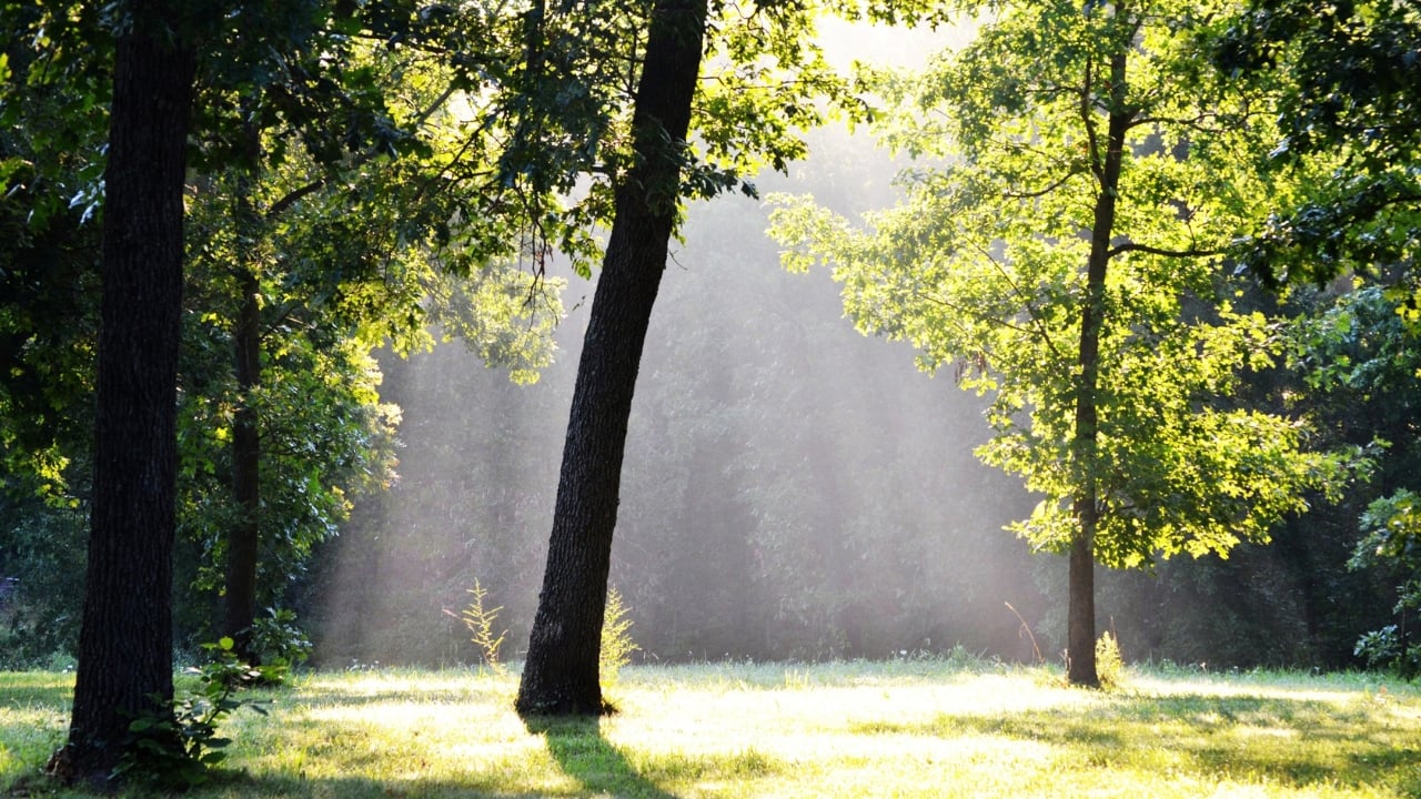 Ánh sáng và màu sắc