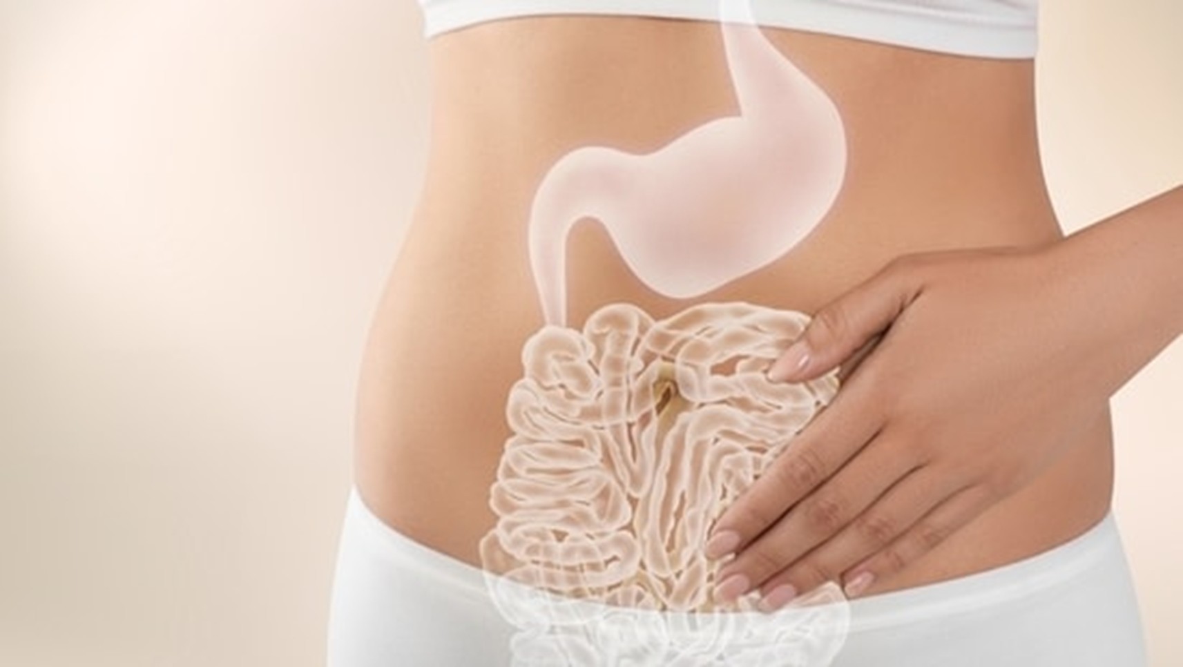 Cơ chế tự bảo vệ thầm lặng của dạ dày