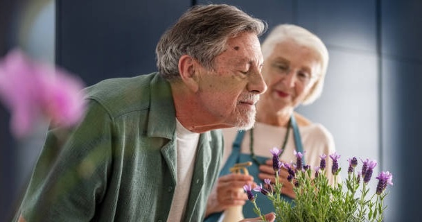 Nighttime Scent Exposure Boosts Cognitive Performance by 226% in Older Adults