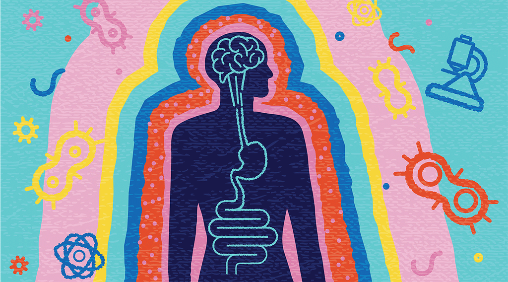 Your Gut: The Brain You Didn’t Know You Had