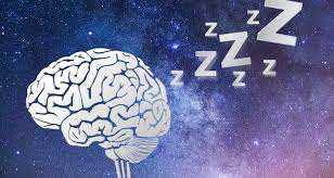 Sleep Loss and the Self-Destructive Brain