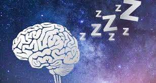 Sleep Loss and the Self-Destructive Brain