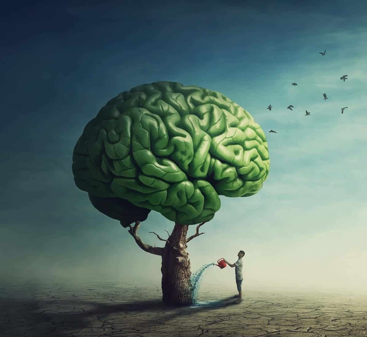 Bí mật chưa kể: Não bộ của bạn vẫn có khả năng 'tự sửa chữa' dù bạn bao nhiêu tuổi.