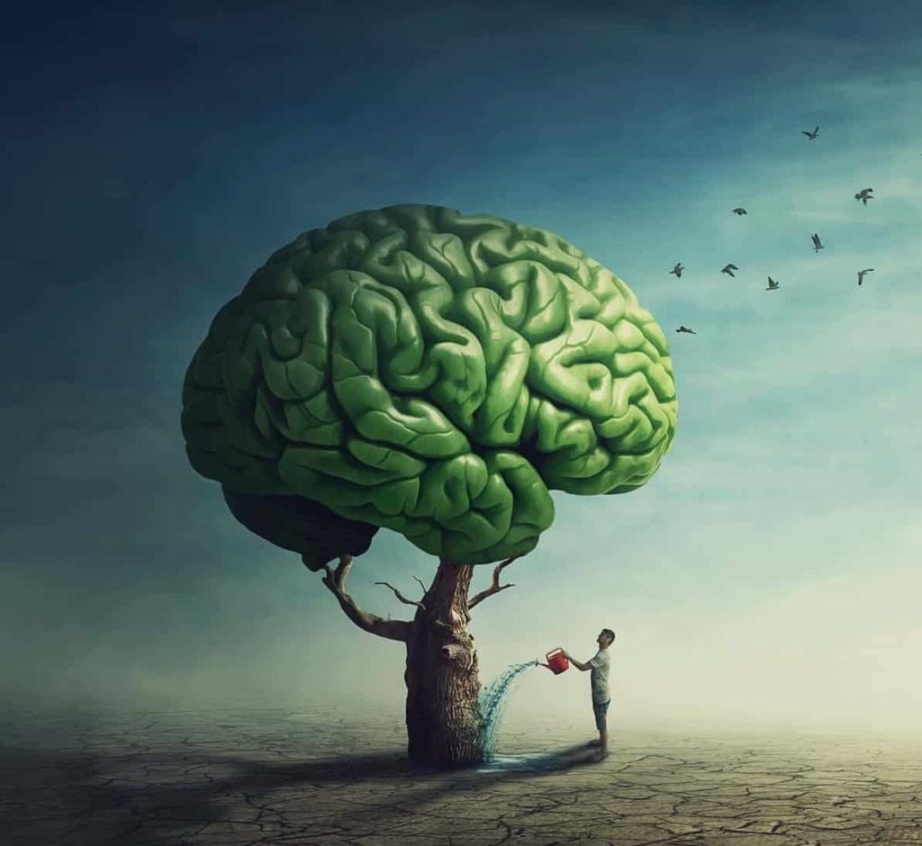 Bí mật chưa kể: Não bộ của bạn vẫn có khả năng 'tự sửa chữa' dù bạn bao nhiêu tuổi.