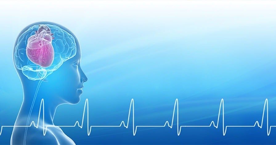 Trái tim định hướng cảm xúc và lựa chọn của con người