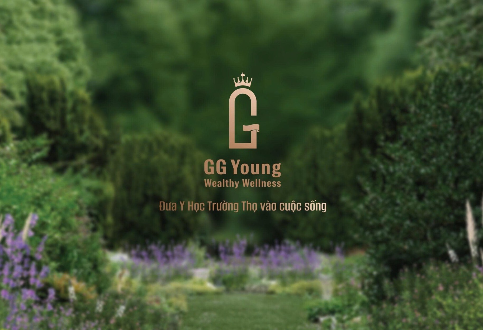 Wellness Care – Live Proactively, Rejuvenate and Rebalance with GG Young