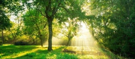 Khi khối óc đồng điệu với thiên nhiên