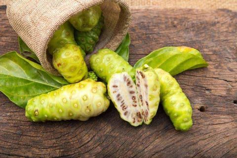 Vị Thuốc Từ Trái Nhàu