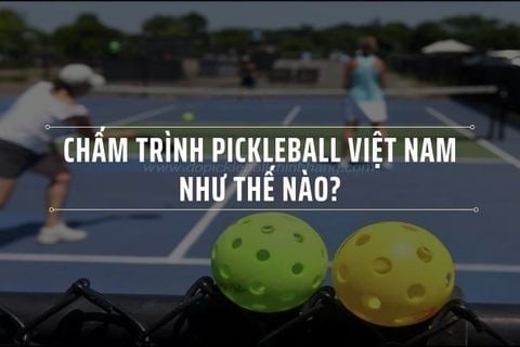 Cách Tự Chấm Trình Pickleball Việt Nam Nhanh Và Chính Xác