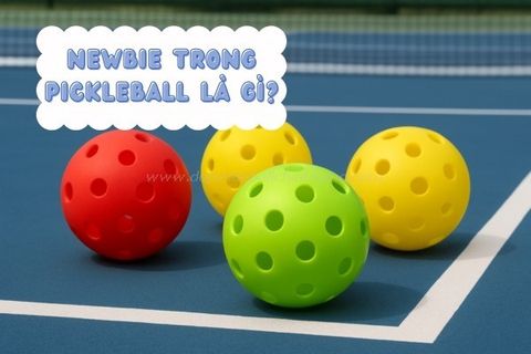 Newbie Trong Pickleball Là Gì Mà Ai Cũng Nói Đến?
