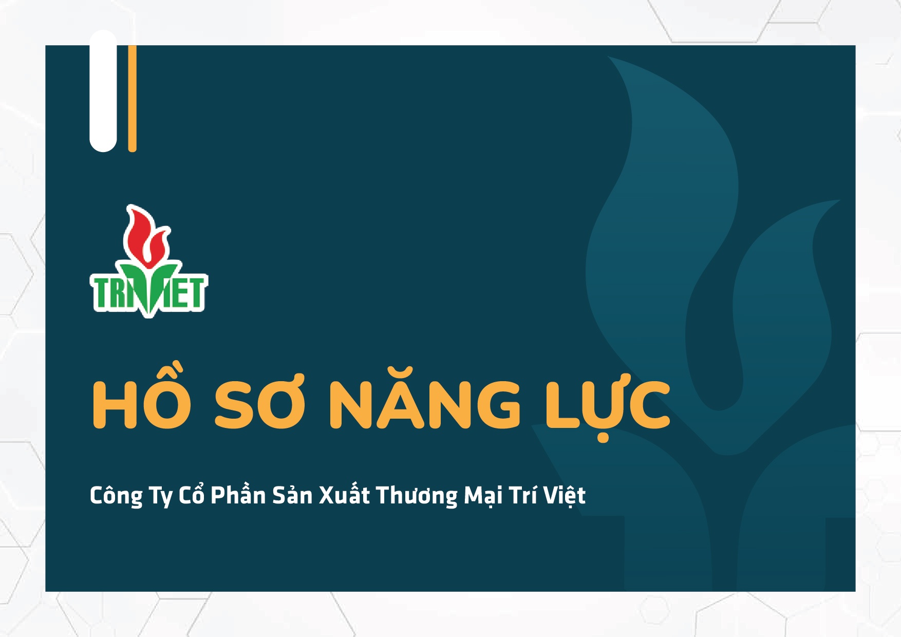 HỒ SƠ NĂNG LỰC - TRÍ VIỆT