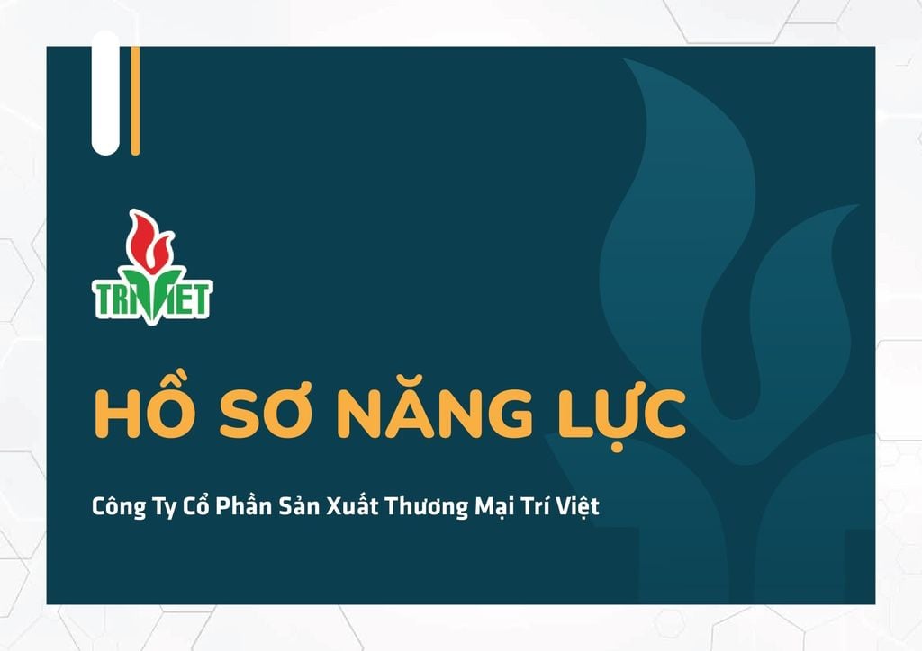 HỒ SƠ NĂNG LỰC - TRÍ VIỆT