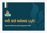 HỒ SƠ NĂNG LỰC - TRÍ VIỆT