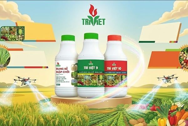 Lợi ích của việc sử dụng phân bón lá