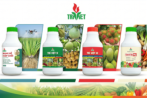 10 lý do tại sao chúng ta nên sử dụng phân bón qua lá