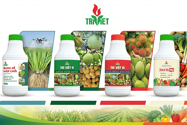 PHÂN BÓN LÁ VÀ NHỮNG ĐIỀU BẠN NÊN BIẾT