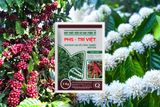 SỬ DỤNG PHÂN BÓN TRÍ VIỆT CHO CÀ PHÊ VÀ HỒ TIÊU