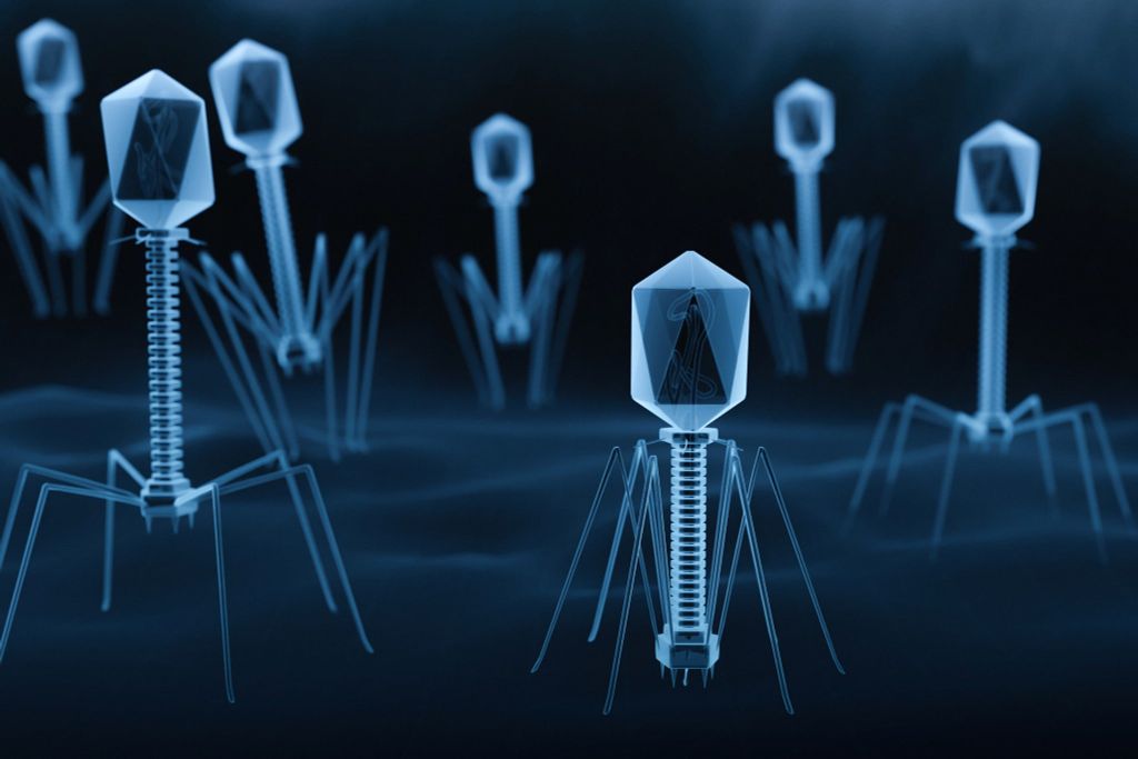 TỔNG QUAN VỀ BACTERIOPHAGE VÀ ỨNG DỤNG TRONG NUÔI TRỒNG THỦY SẢN