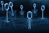 TỔNG QUAN VỀ BACTERIOPHAGE VÀ ỨNG DỤNG TRONG NUÔI TRỒNG THỦY SẢN