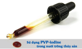 SỬ DỤNG PVP-IODINE TRONG NUÔI TRỒNG THỦY SẢN