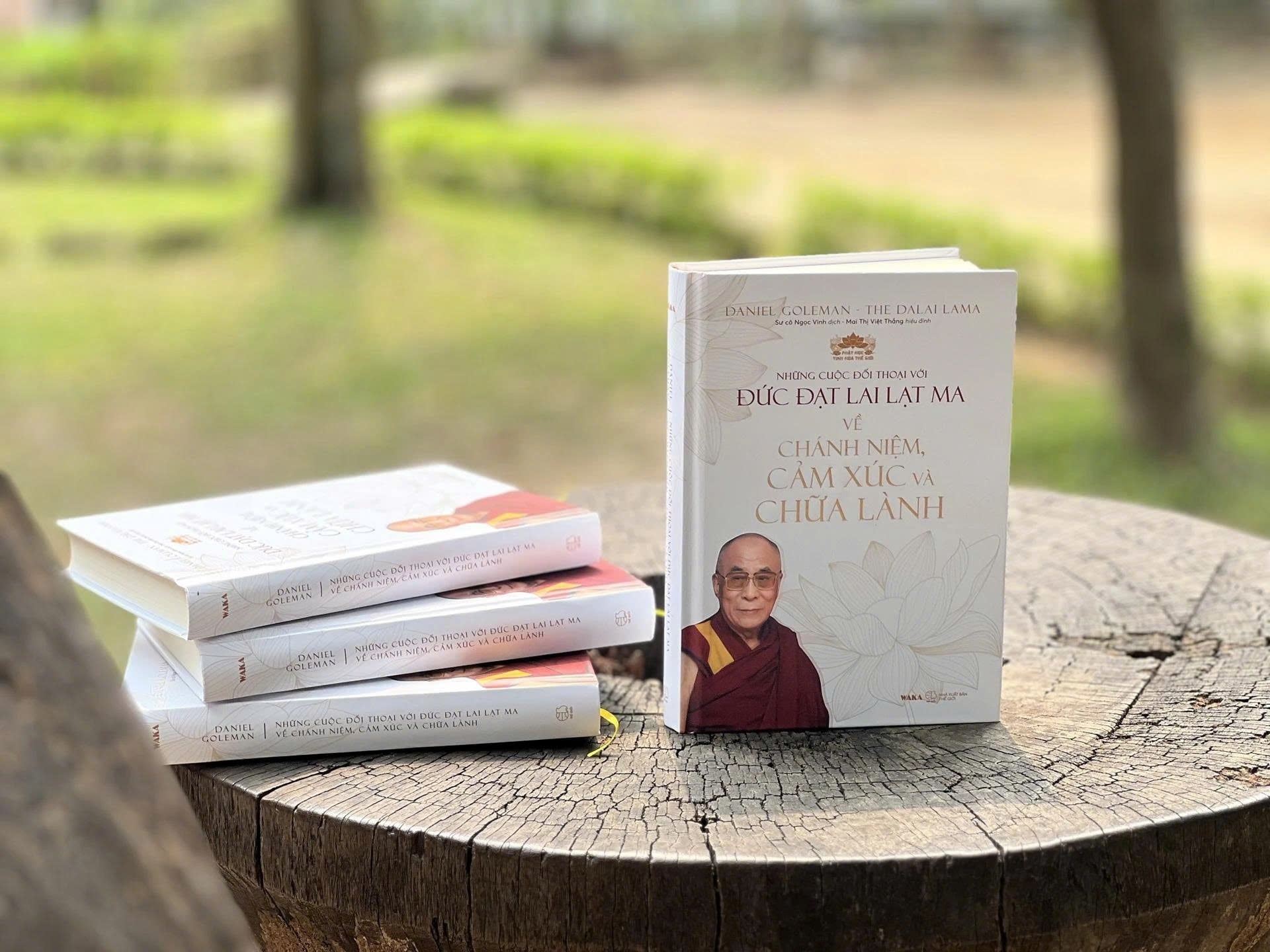 Cuộc đối thoại với nhà sư được trao giải Nobel Hòa bình