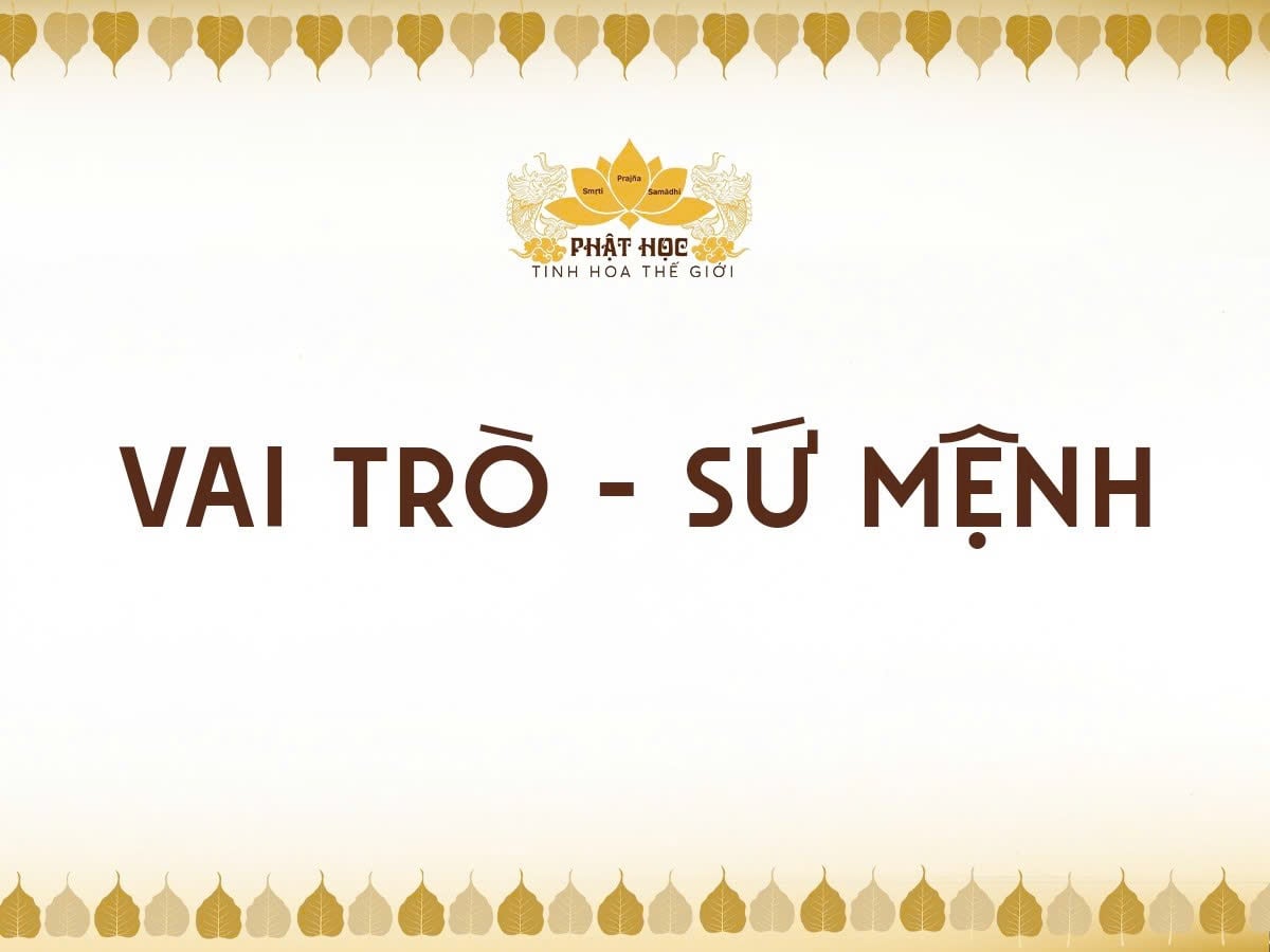 Vai trò - Định hướng hoạt động