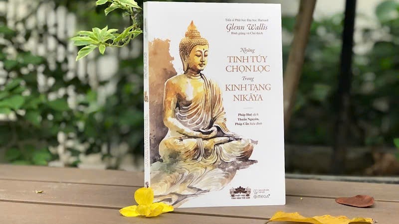 Bước chân tỉnh thức qua 16 bài kinh Nikāya
