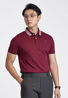 Áo polo