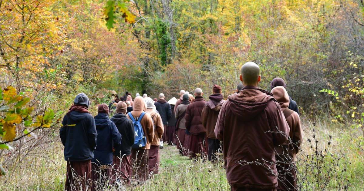 Bước chân vững chãi và an vui